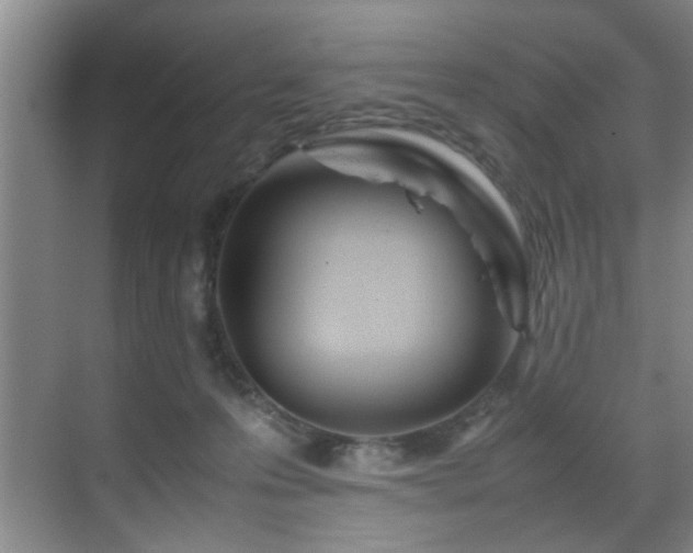 X0000070230223200605261352