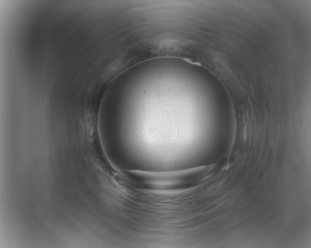 X0000070230232200605261352