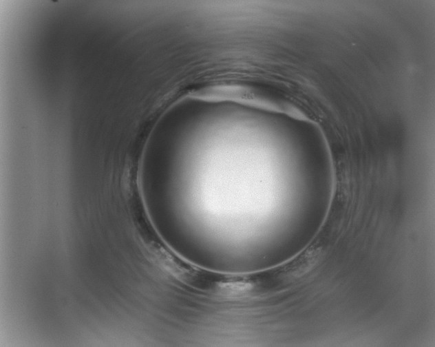 X0000070230266200605261351