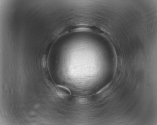 X0000070230287200605261352