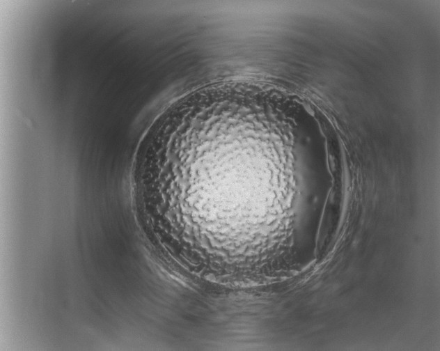 X0000070230290200605261351
