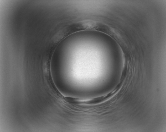 X0000070230317200605261350