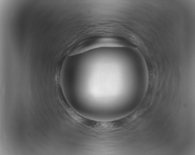 X0000070230329200605261350