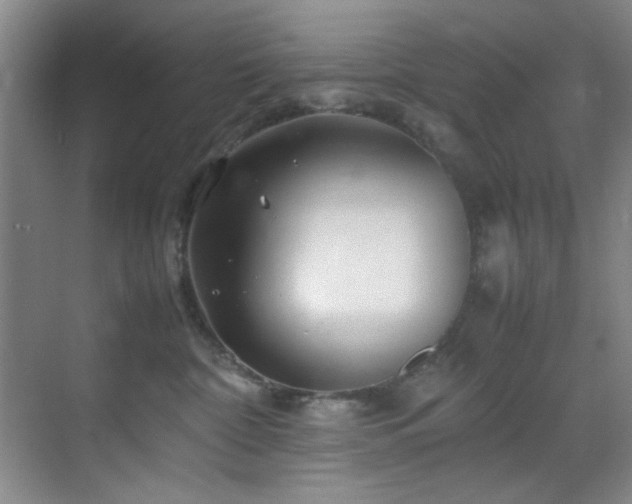 X0000070230332200605261350
