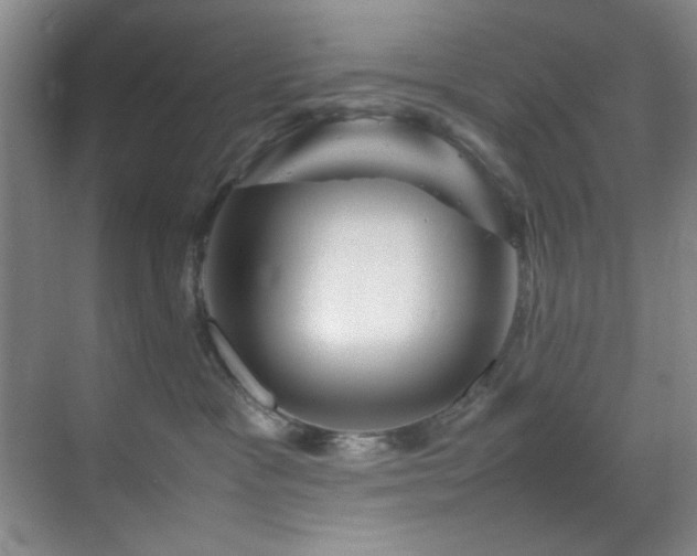 X0000070230333200605261350