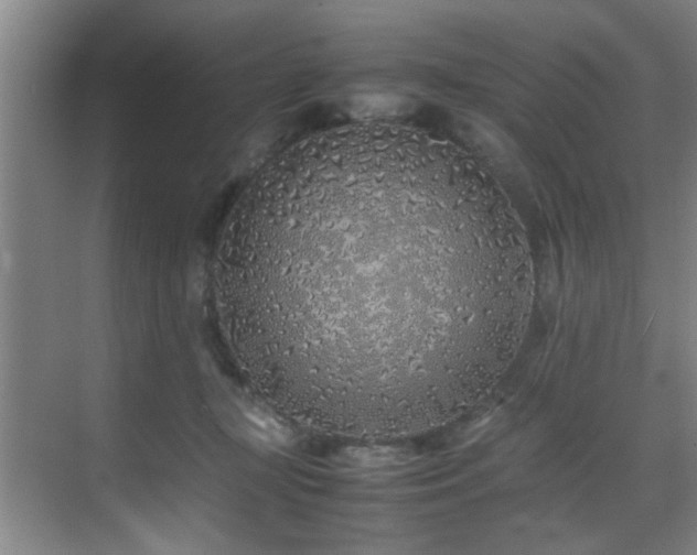X0000070230367200605261350