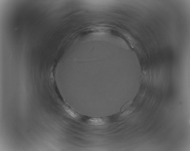 X0000070230381200605261350
