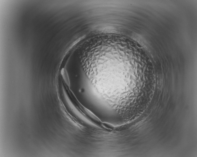 X0000070230390200605261349