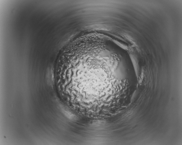 X0000070230398200605261349