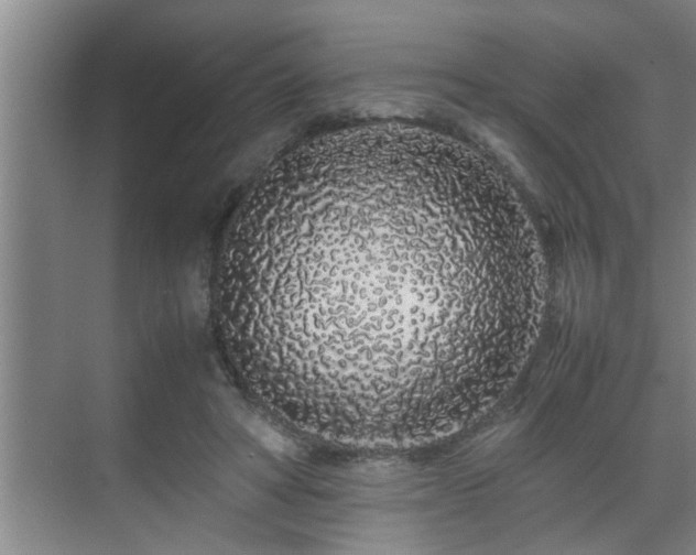 X0000070230402200605261349