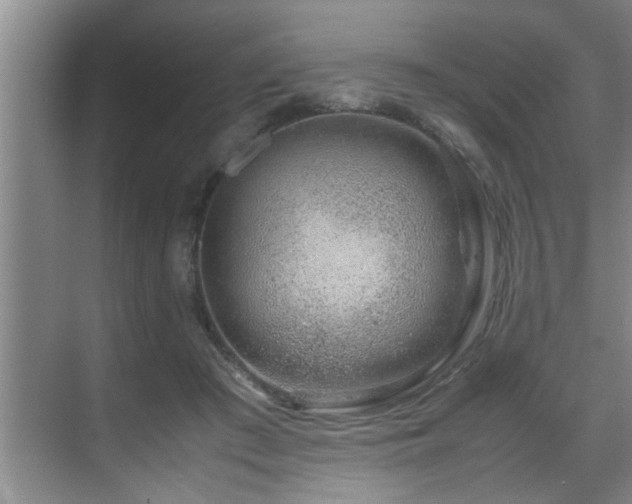 X0000070230409200605261349