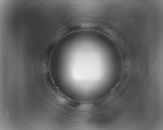 X0000070230422200605261349