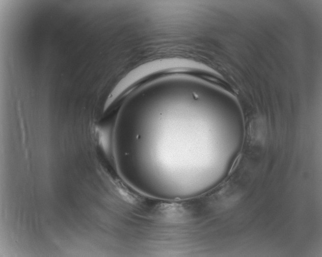 X0000070230424200605261349