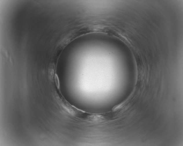 X0000070230427200605261348