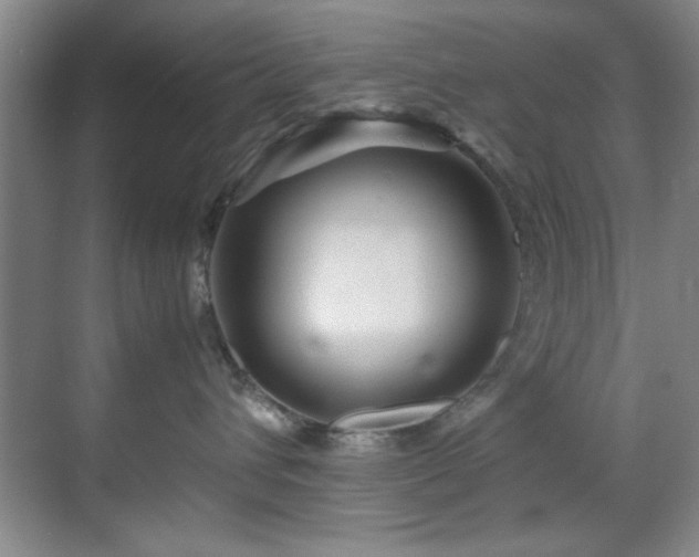 X0000070230432200605261348