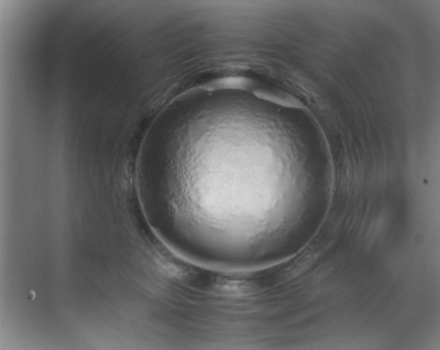 X0000070230467200605261348