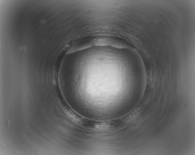 X0000070230470200605261348
