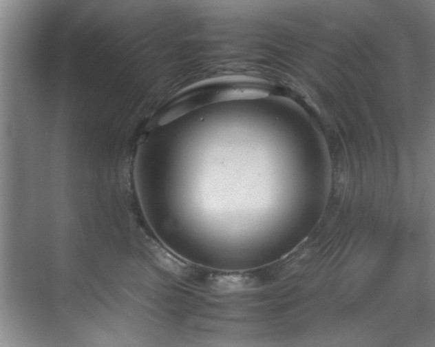 X0000070230473200605261348