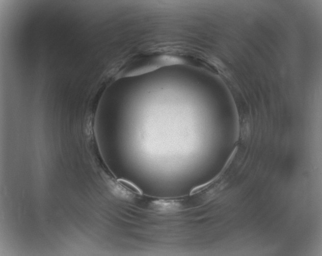 X0000070230477200605261348