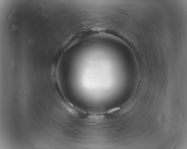 X0000070230480200605261348