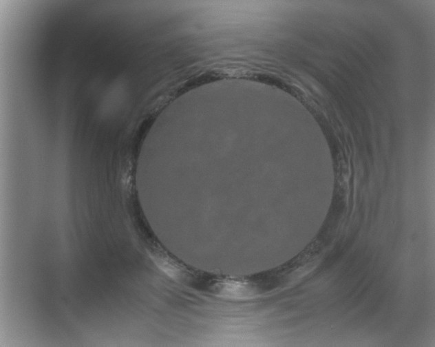 X0000070230507200605261347