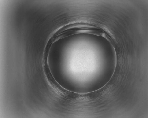 X0000070230536200605261346