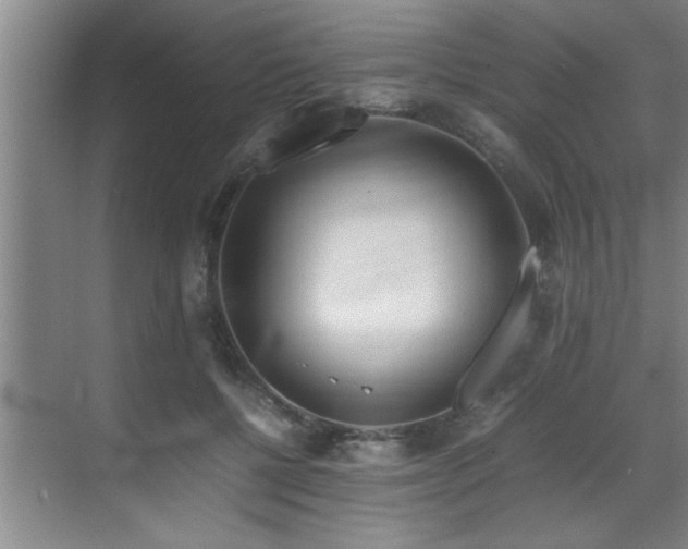 X0000070230552200605261346