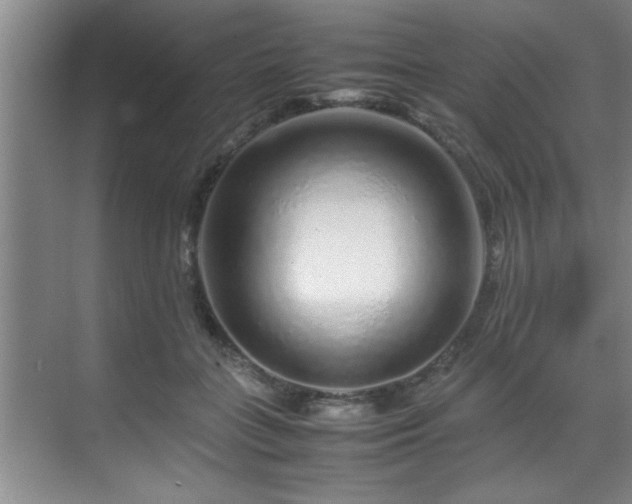 X0000070230555200605261346