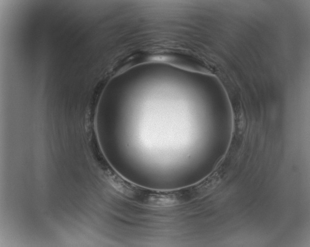 X0000070230559200605261346