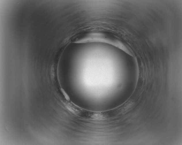 X0000070230562200605261347