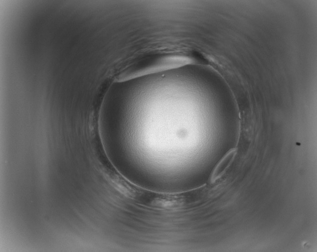 X0000070230563200605261347