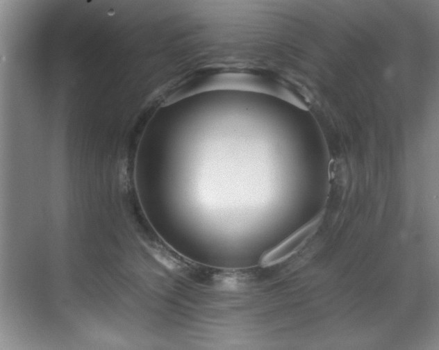 X0000070230564200605261347