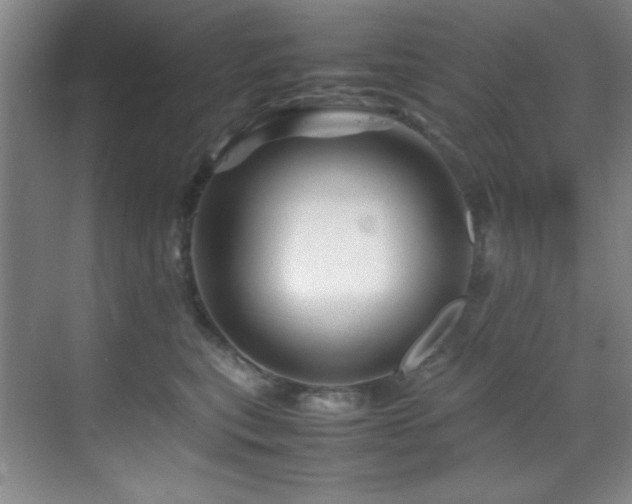 X0000070230567200605261347