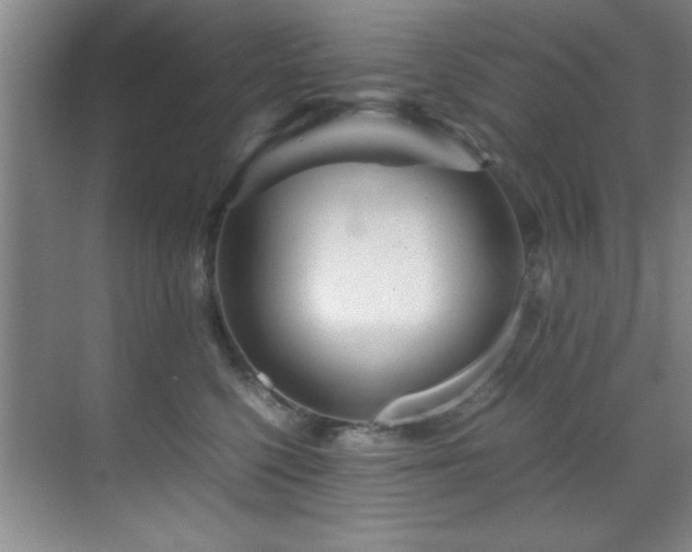 X0000070230568200605261347