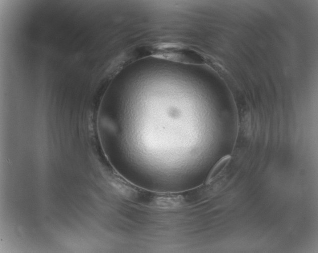X0000070230571200605261347