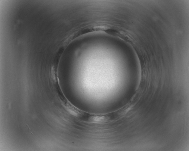 X0000070230575200605261347