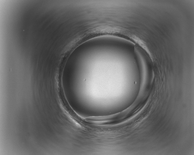 X0000070230581200605261346