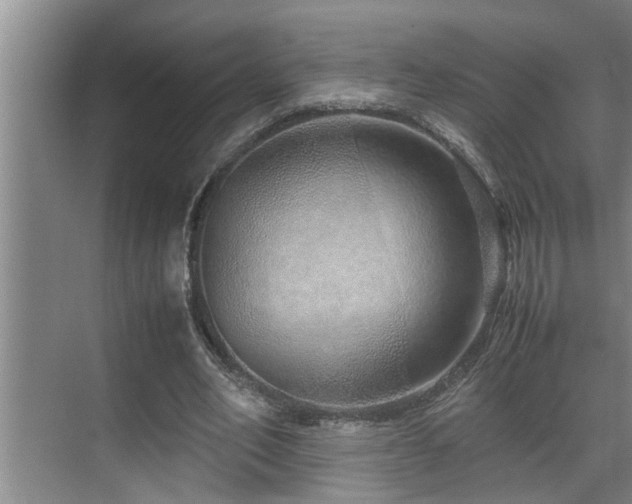 X0000070230582200605261346