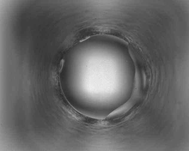 X0000070230609200605261345