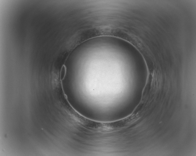 X0000070230610200605261345