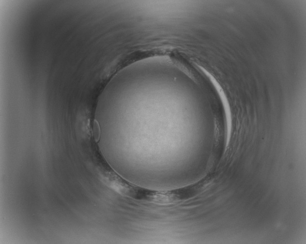X0000070230615200605261345
