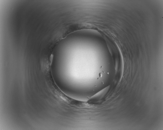 X0000070230617200605261345