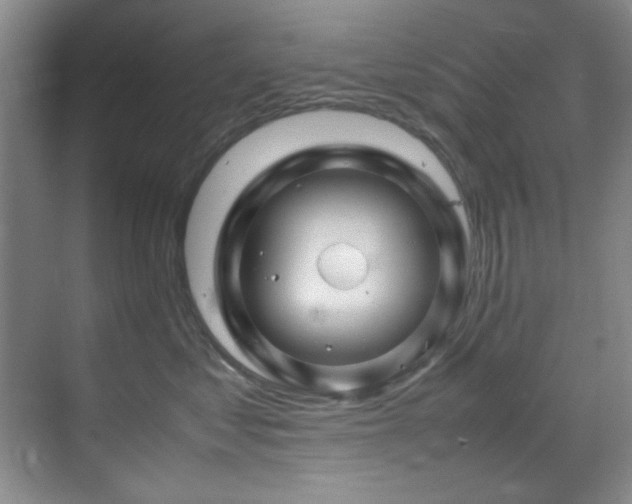 X0000070230621200605261345