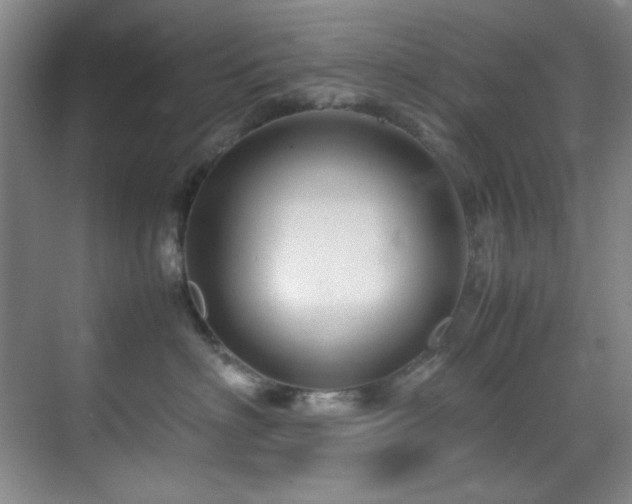 X0000070230622200605261345