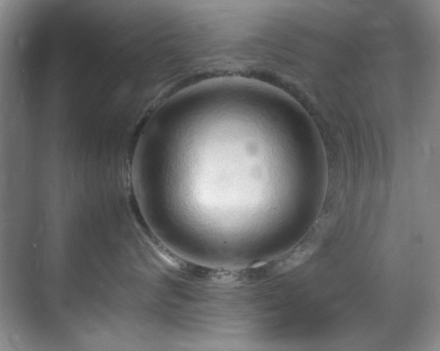 X0000070230624200605261345