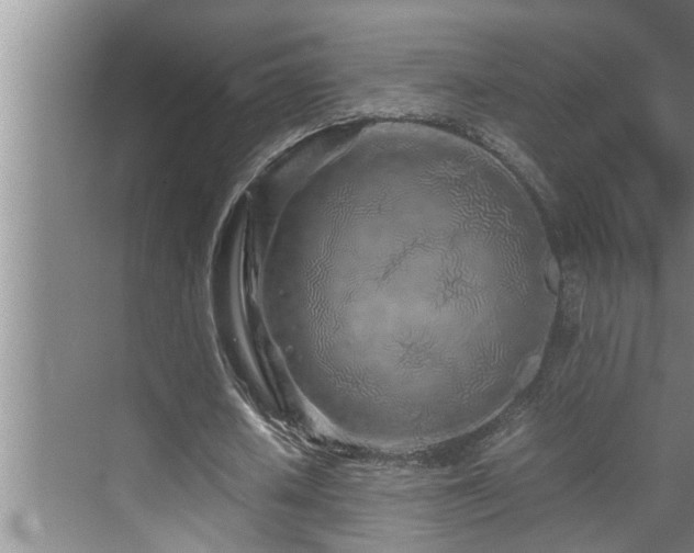 X0000070230626200605261344