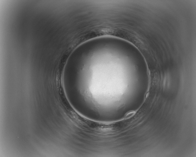 X0000070230651200605261345