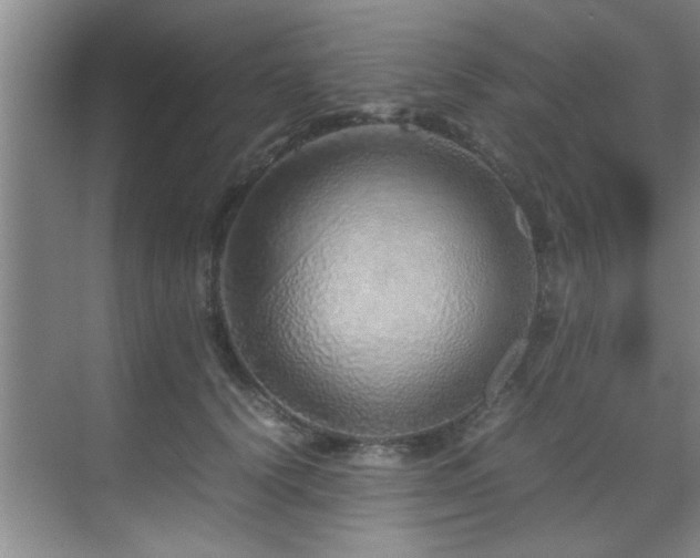 X0000070230656200605261345