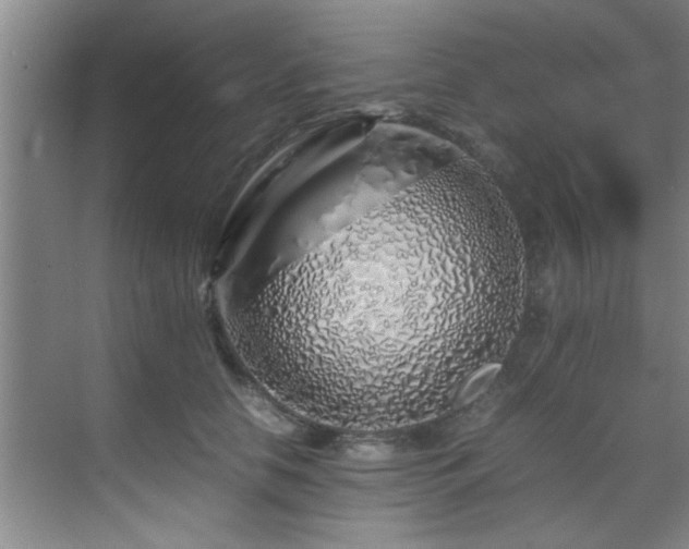 X0000070230658200605261345