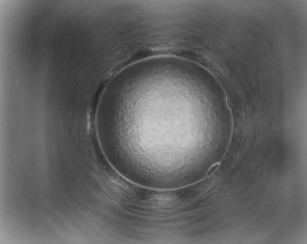 X0000070230659200605261345